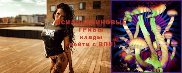 таблы Белокуриха