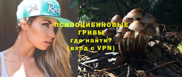 прущие крисы Беломорск